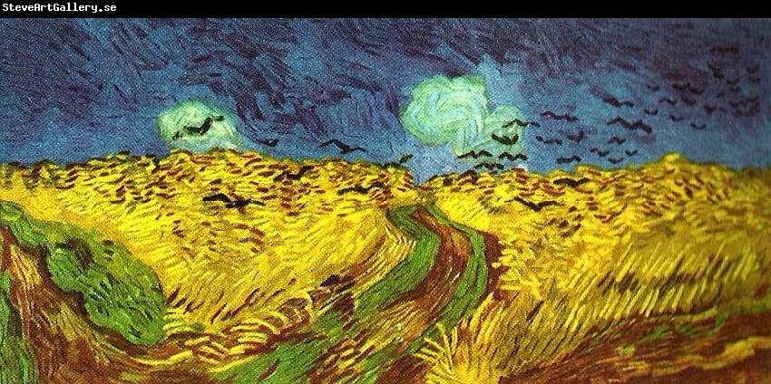 Vincent Van Gogh korpar flygande over sadesfalt